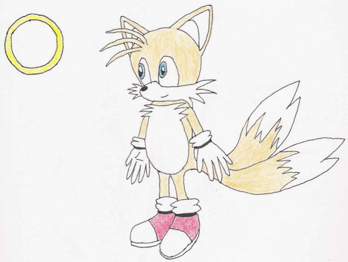 It's Tails!! by Gryffindor777