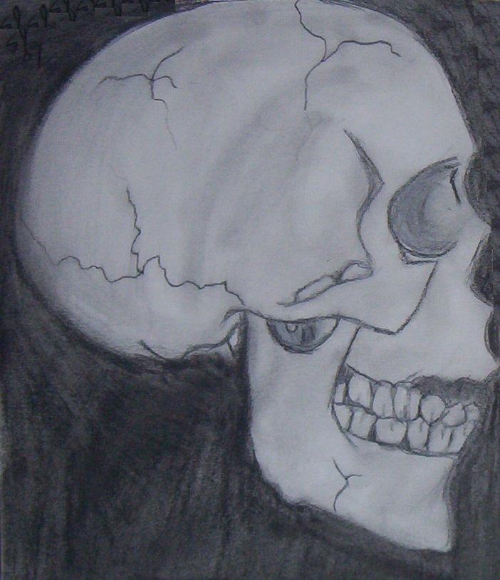 Skull 3 by Guardian_angel