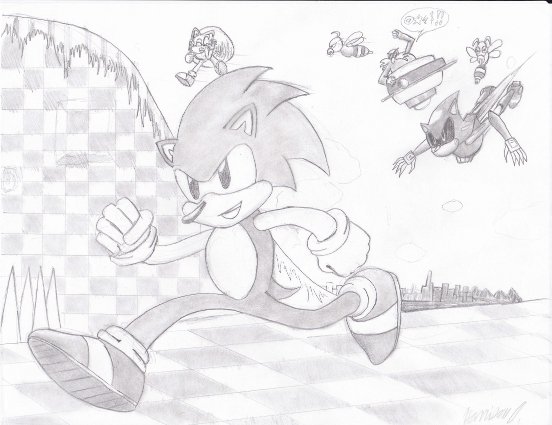 See Sonic Run by gamefox120