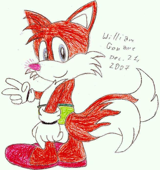 Tails Christmas 2007 by germanname