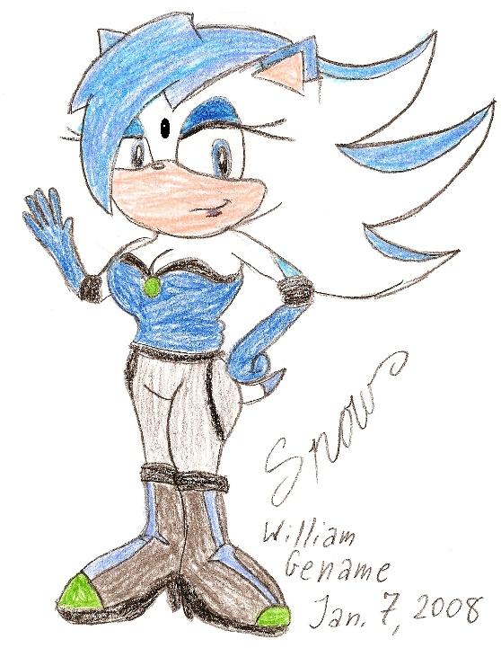 Snow The Hedgehog by germanname