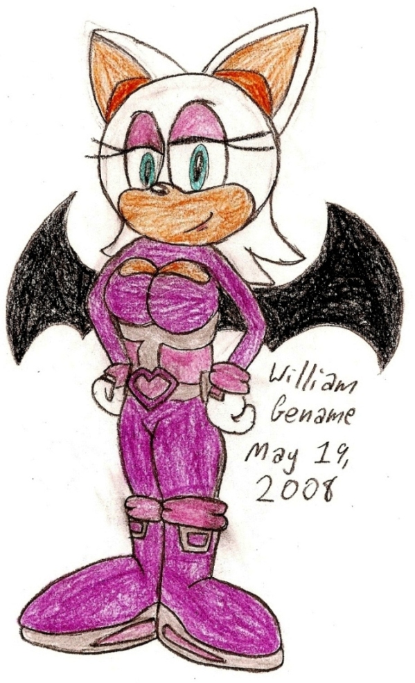 Rouge in Sonic Heroes Outift by germanname