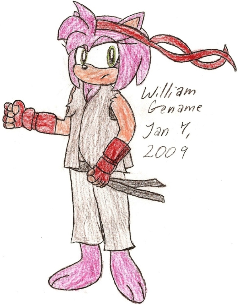 Amy as Ryu by germanname