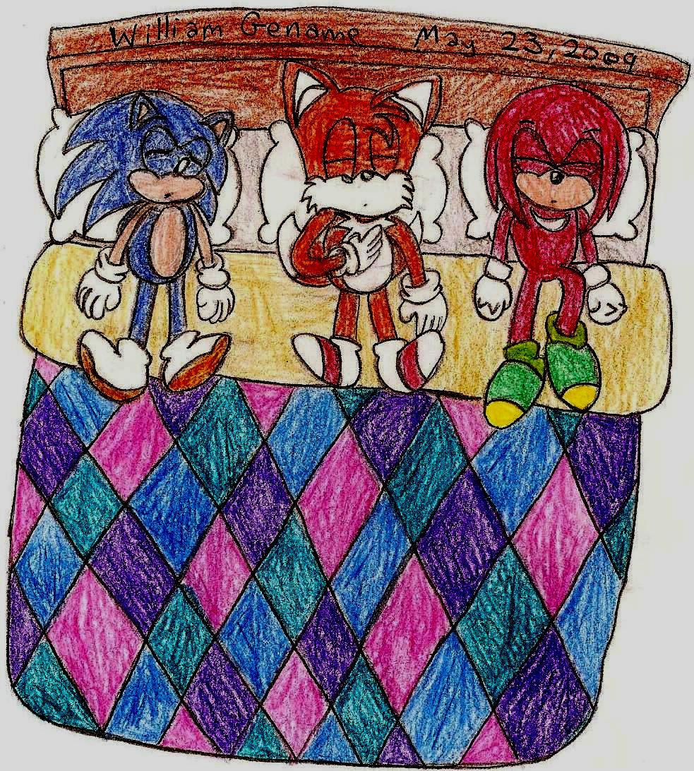 Sonic Tails and Knuckles Sleeping by germanname