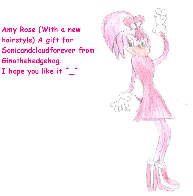 Amy Rose With A New Hairstyle *Gift For Sonicandcloudforever* by ginathehedgehog