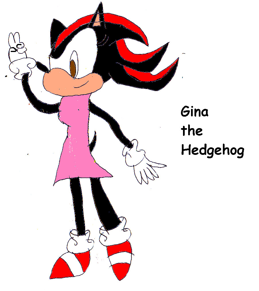 Gina The Hedgehog For Saskuegurl's Contest by ginathehedgehog