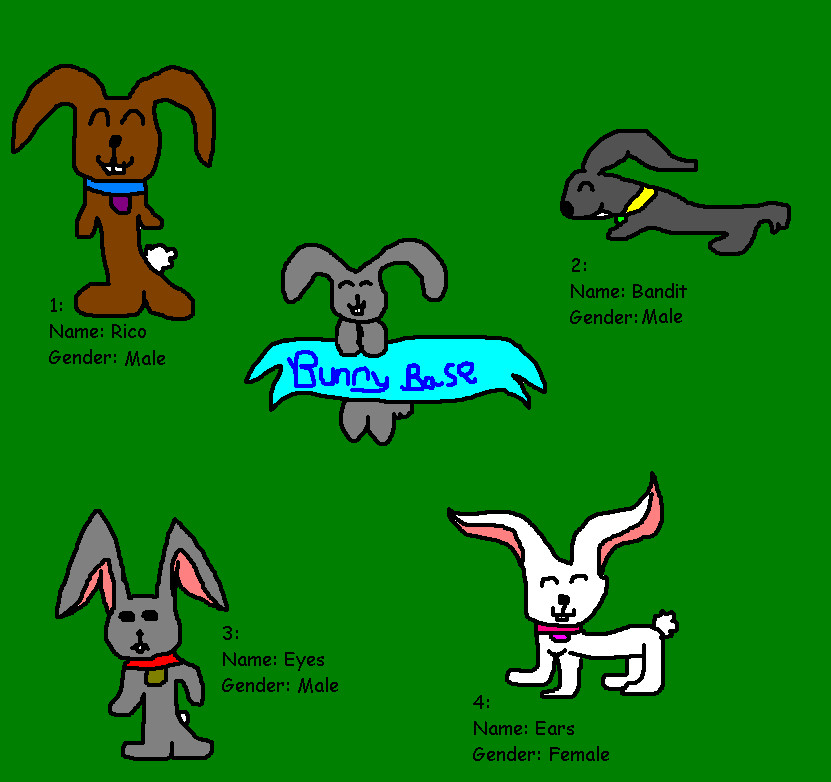 Bunny Base Litter 1 by ginathehedgehog
