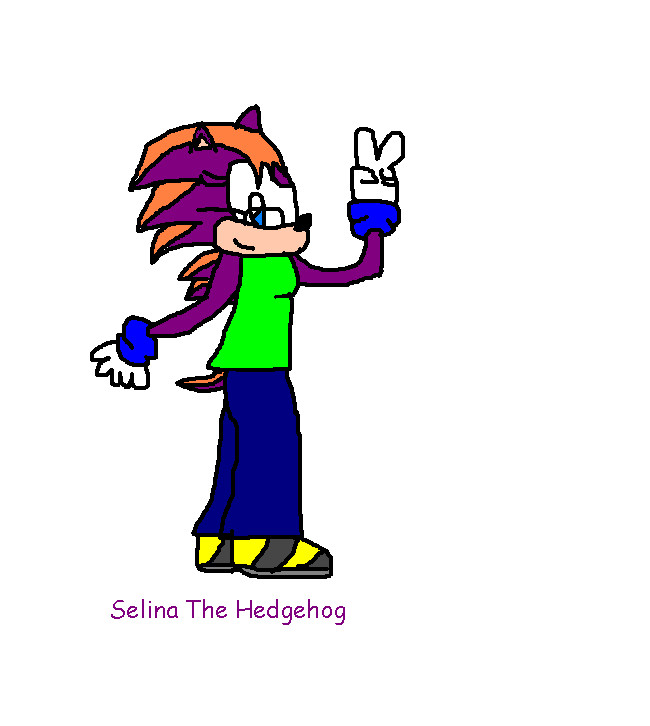 Selina The Hedgehog *Art-Trade With Kittyshootingstar* by ginathehedgehog