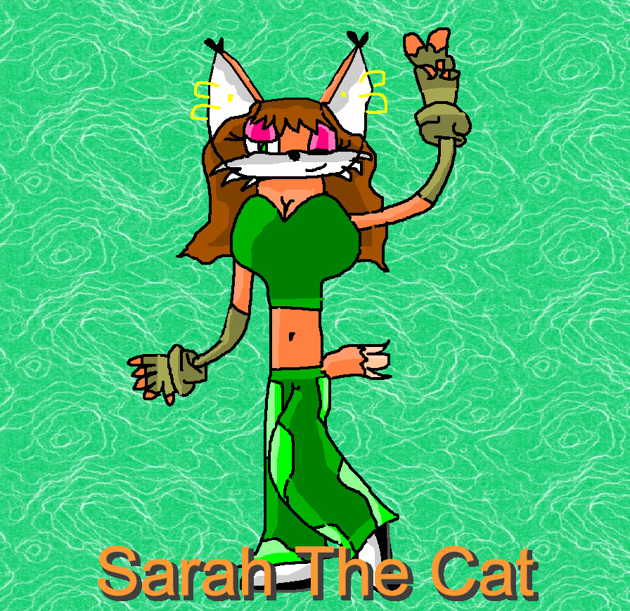 Sarah The Cat *Gift For Saskuegurl* by ginathehedgehog