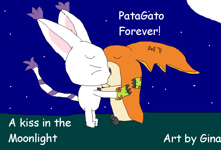 PataGato A Kiss In The Moonlight by ginathehedgehog
