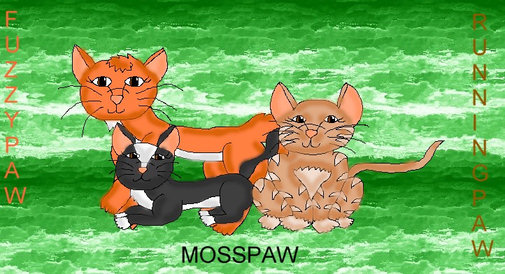 FuzzyPaw, MossPaw And RunningPaw AKA Me And My Sisters As Cats by ginathehedgehog