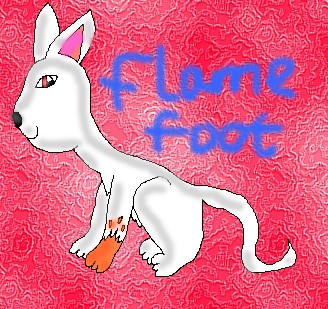 FlameFoot *Request From DesertBreeze* by ginathehedgehog