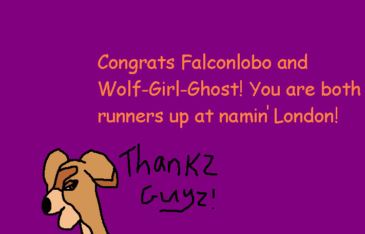 Runner Up Certificate For Falconlobo And Wolf-Girl-Ghost by ginathehedgehog