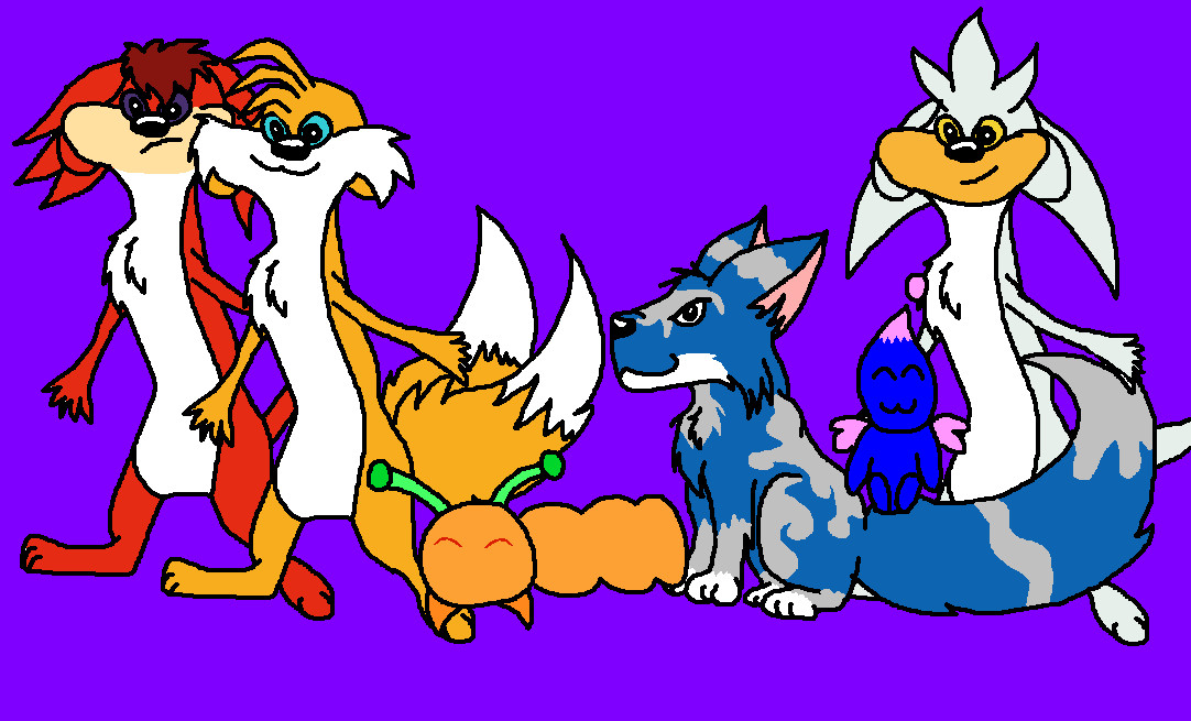 Knuckles Meerkat, Tails Meerkat, Fibber, Reuben, Splash And Silver Meerkat by ginathehedgehog