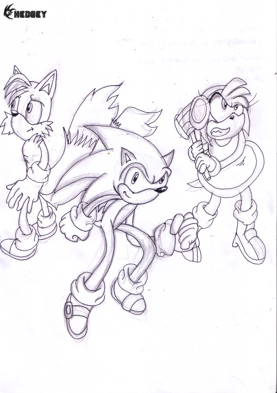 SOS 09 - Sonic Chronicles Pic by ginathehedgehog
