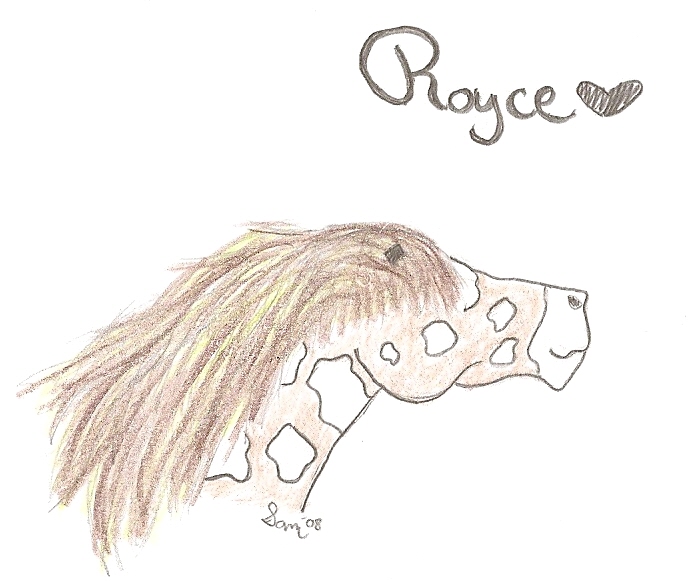Royce by gingerwave