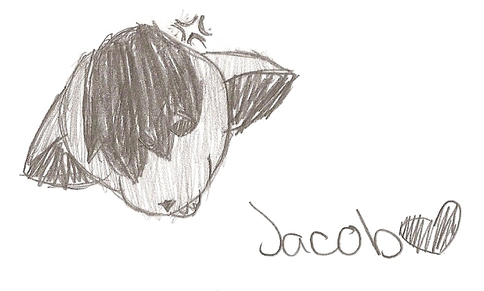 Jacob by gingerwave