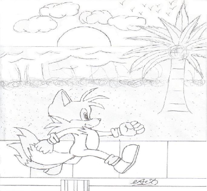 tails  at the beach by gokuthemighty