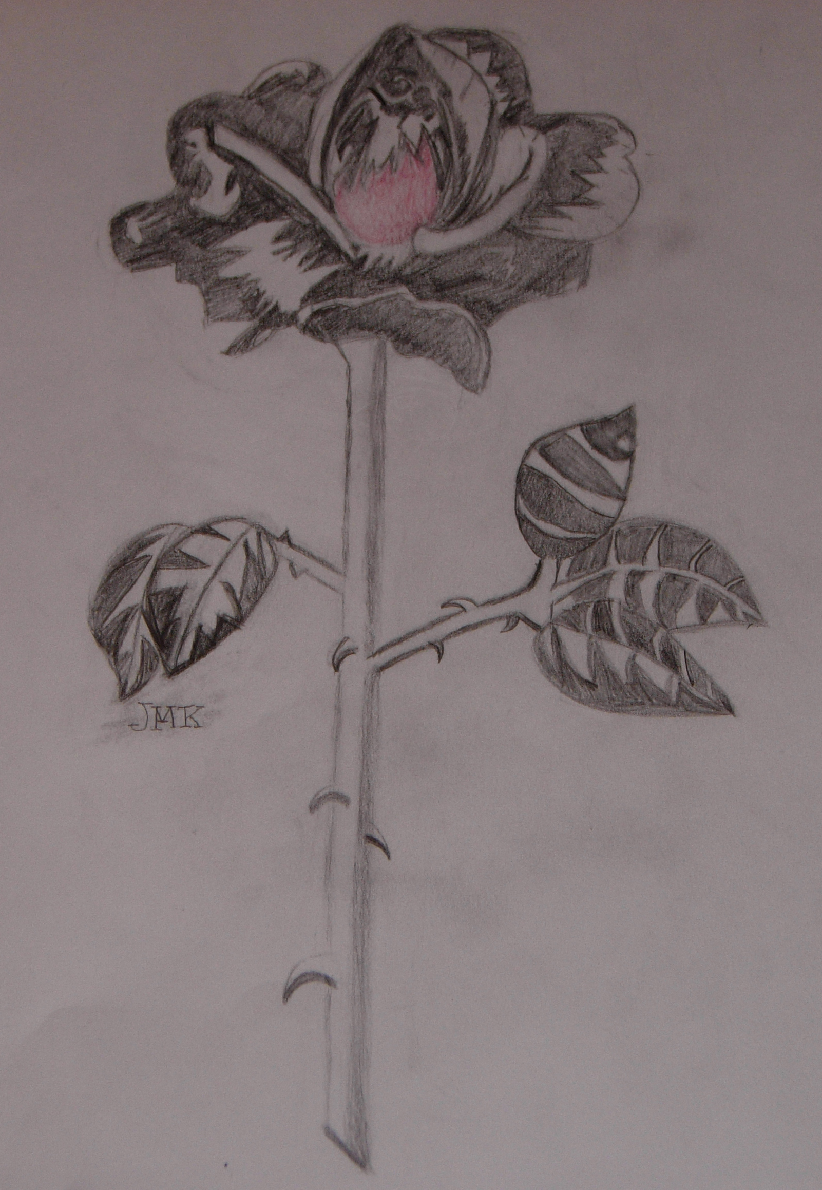 Rose by gothic6angel6frm6hell