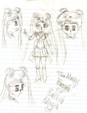 The Many Faces of Sailor Moon by gothicmermaid05