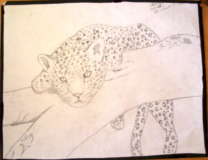 Hardcore Leopard by govilshayla