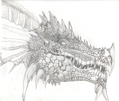 Dragon by gr81muffers