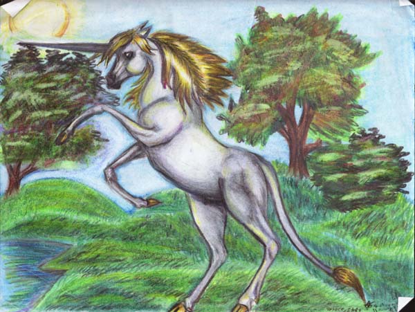 unicorn by greyhound