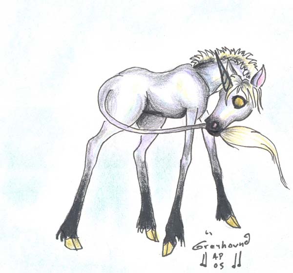 Foal by greyhound