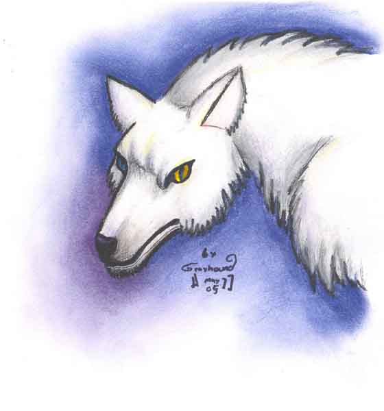 White Wolf by greyhound