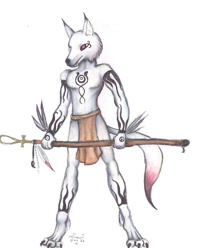 White Wolf Warrior- for Asirranya by greyhound