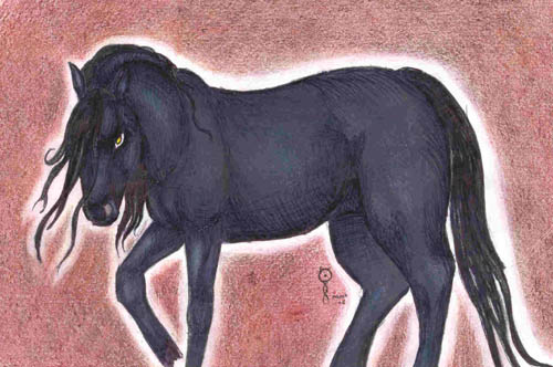 Horse Colors 2- Black by greyhound