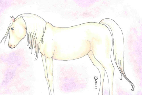 Horse Colours 4- Cremello by greyhound