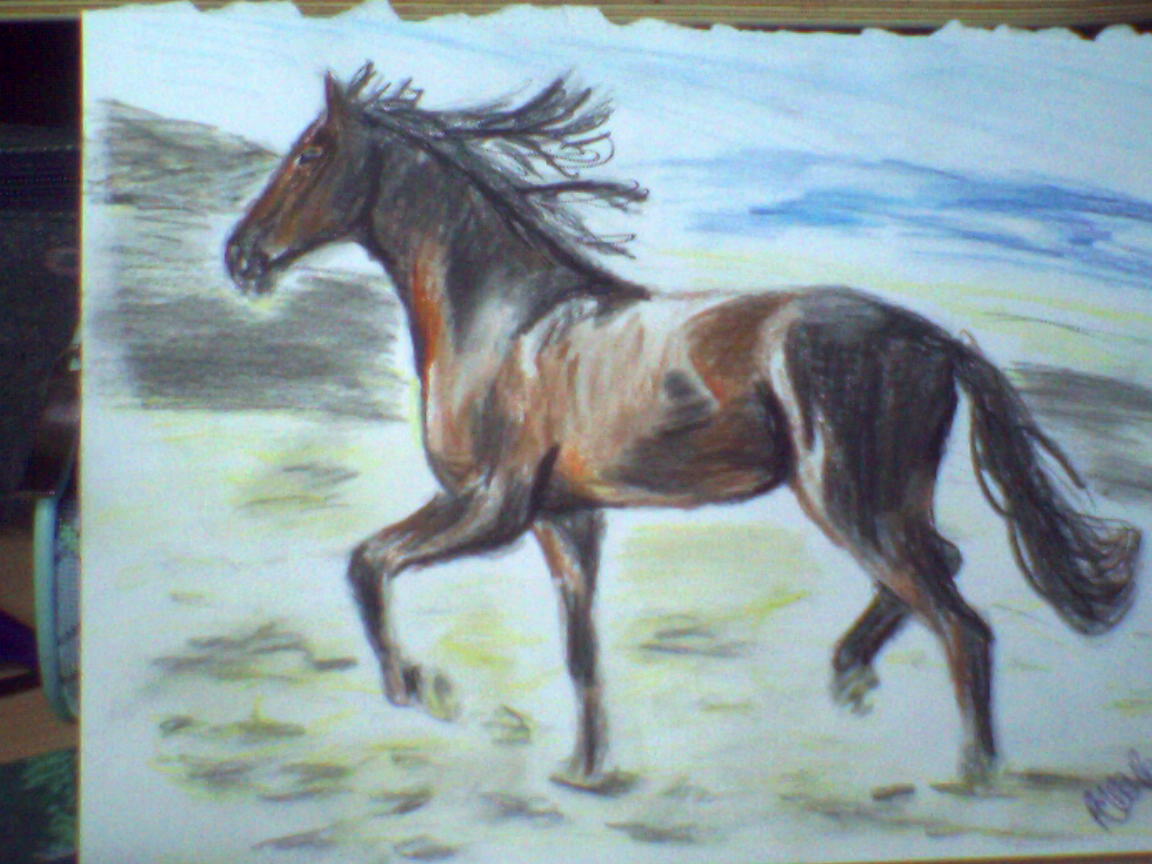 Horse on beach by guinevere