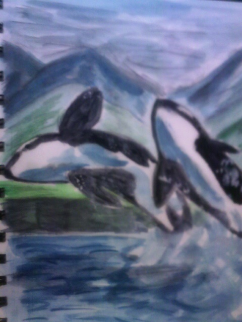 orcinus orcas by guinevere