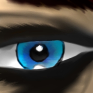 shaded eye by HawkTheShadowhunter