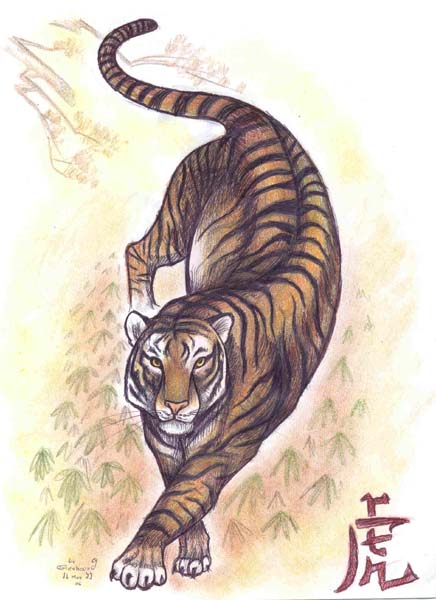Shaolin Tiger by HeiBai
