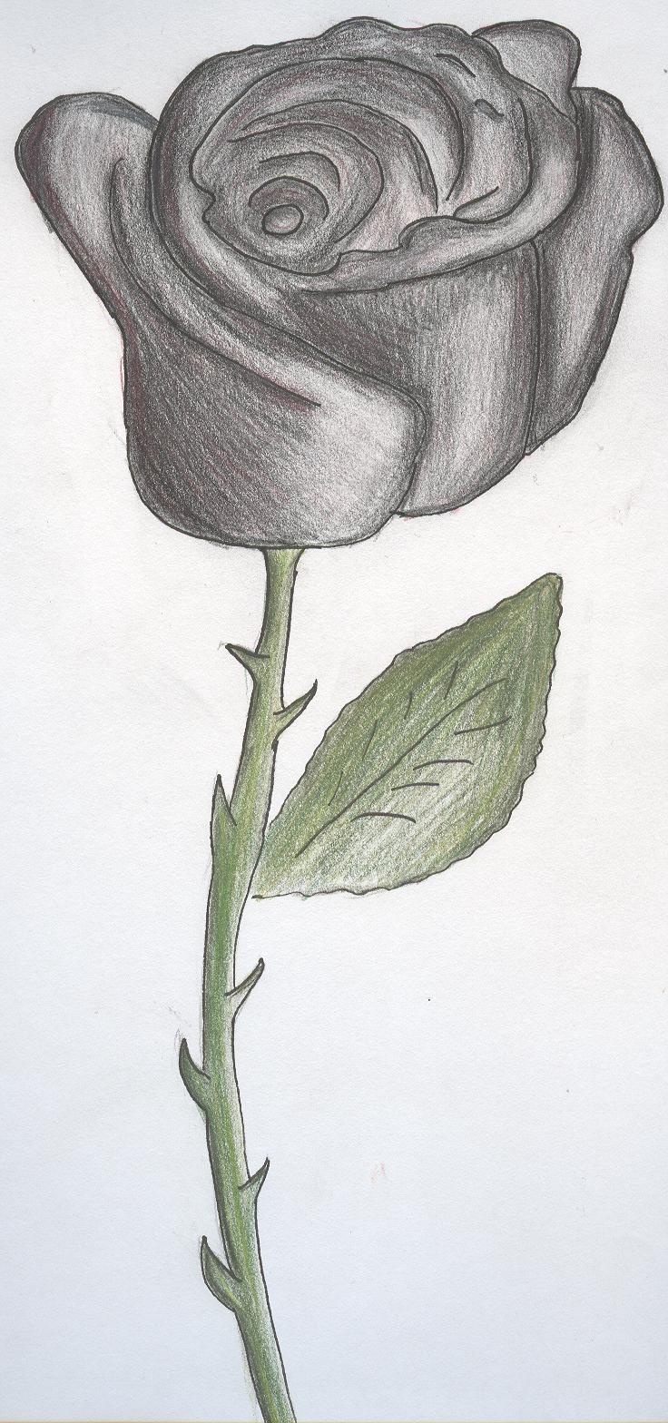 Black Rose by HelsinkiVampire69