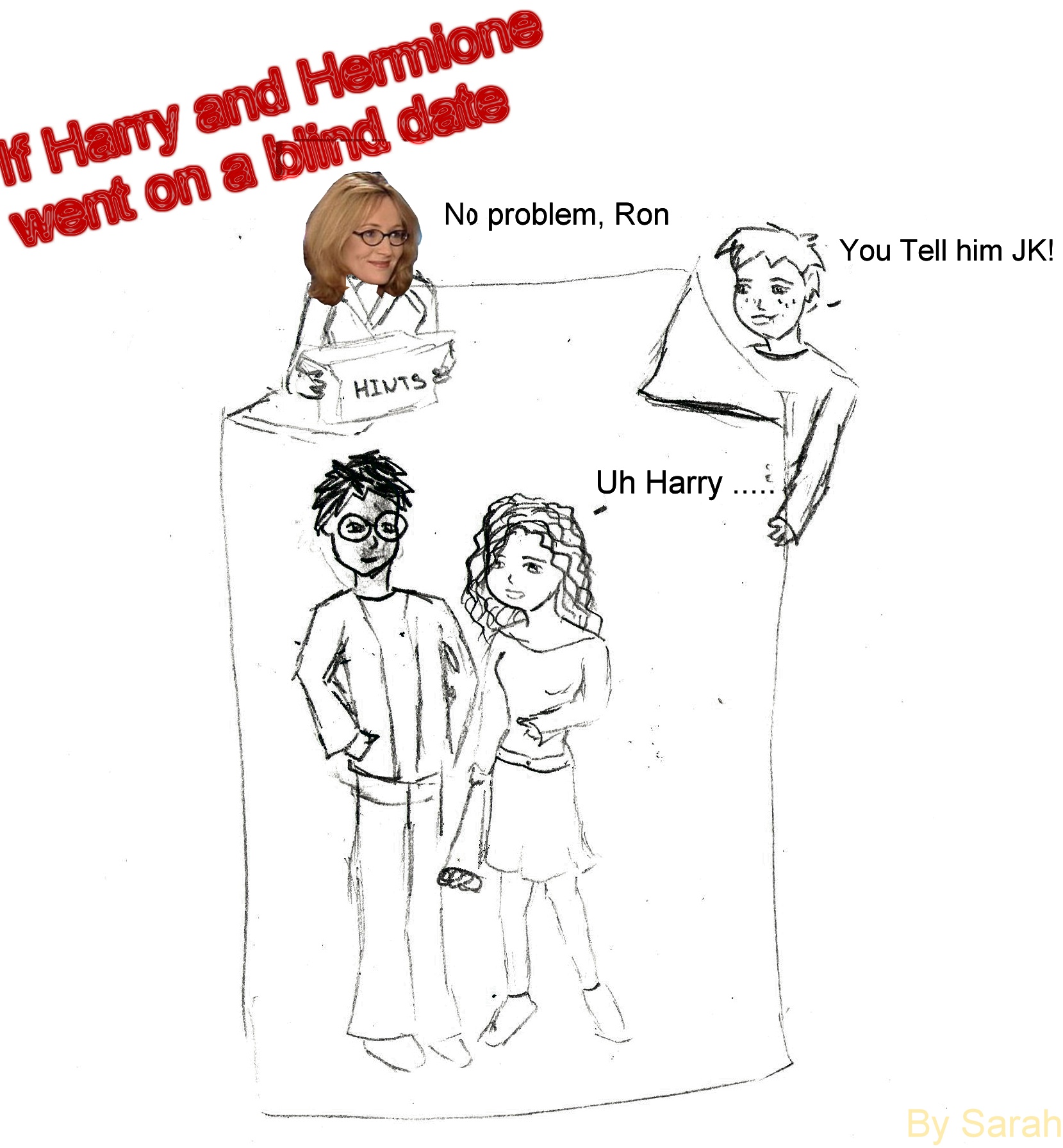 What I Think of the H/Hr Ship by Hermione13