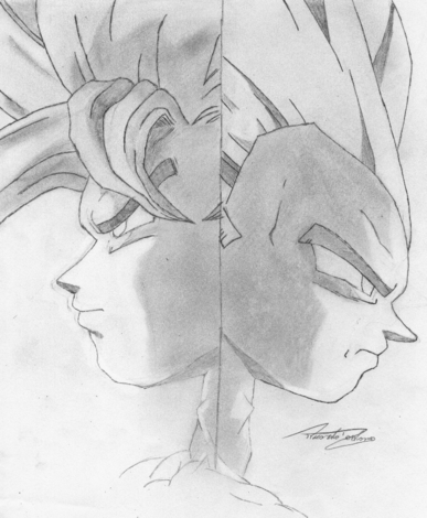 Goku and Vegeta by HiSpAnIc