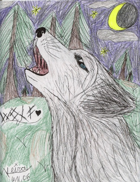 Wolf by Hikaru-hime