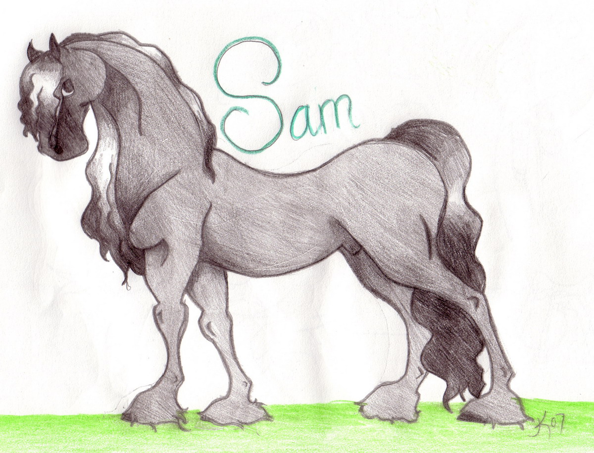 My Boy SAM! by HoRsEwIsPeReR396