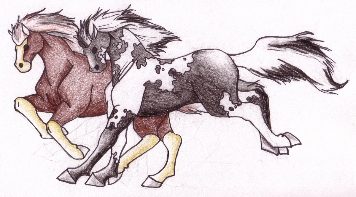 Indigo(carly's horse) and (brookes horse) by HoRsEwIsPeReR396