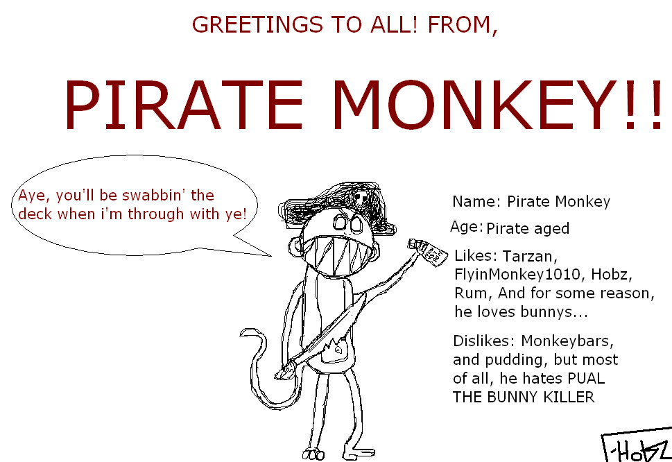 Pirate Monkey by Hobz_the_destroyer