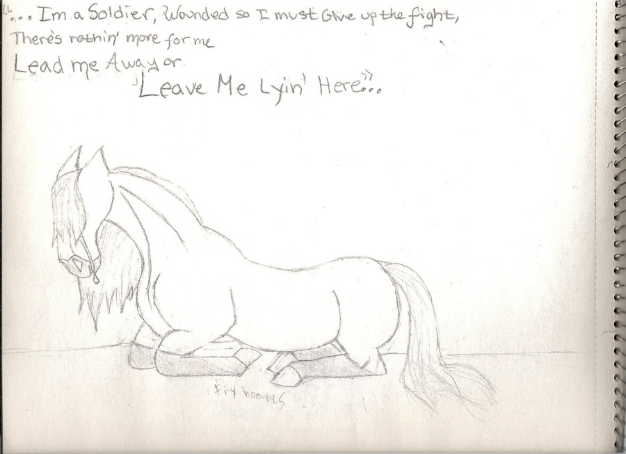 "I'm a Soldier...." by HorseSpirit