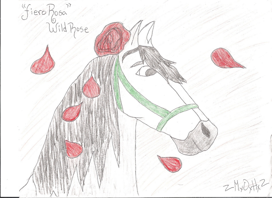 Fiero Rosa (Wild Rose) by HorseSpirit