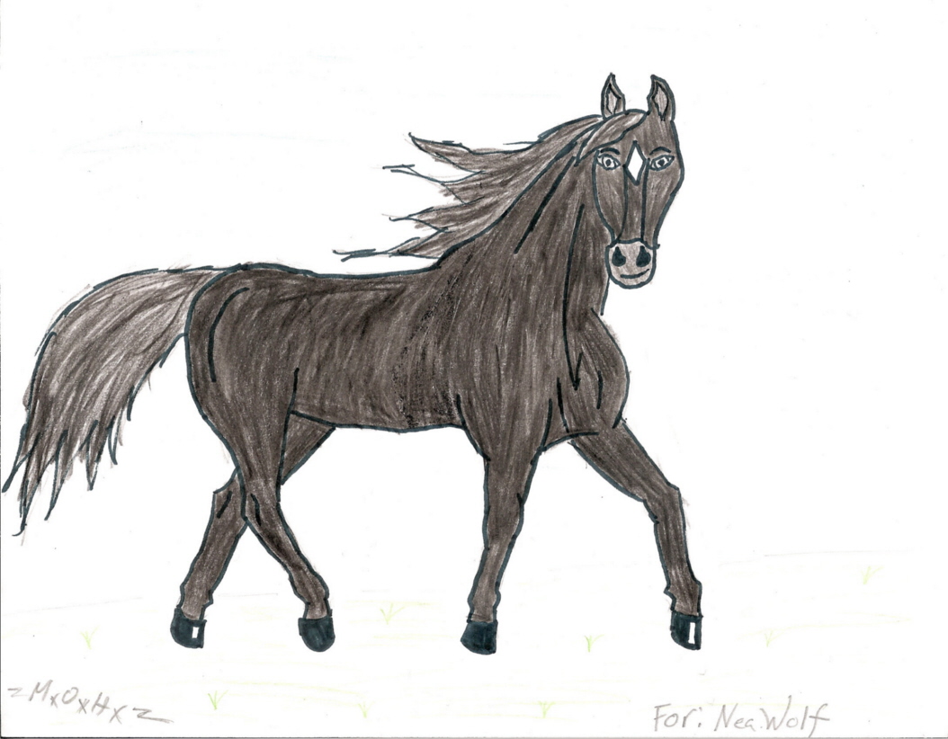 Polaris for Neawolf by HorseSpirit