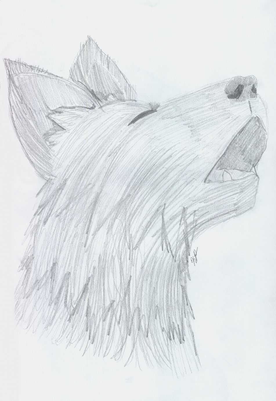 Howling Canine by Howling_Wolf_Spirit