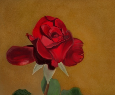 rose by Hurdygurdymushroomman