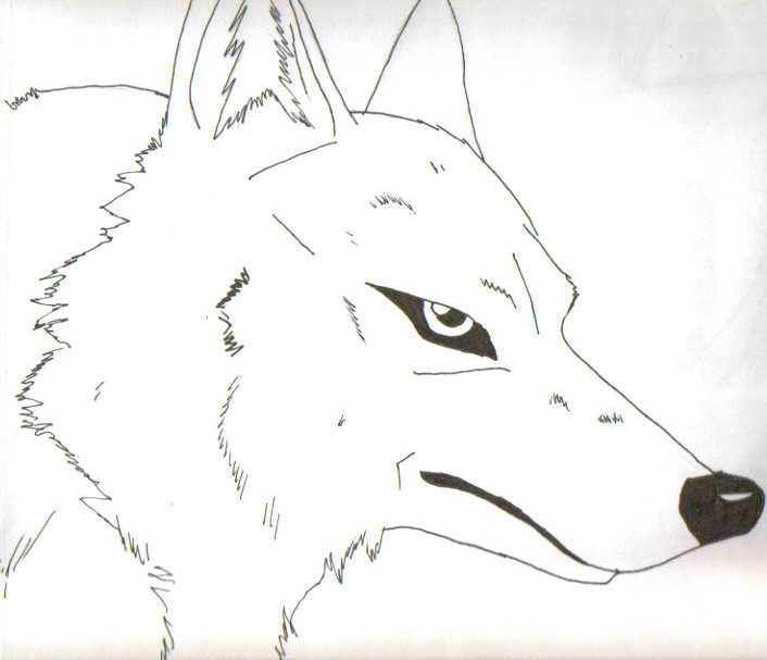 Kiba's head (wolf form) by Hyde1