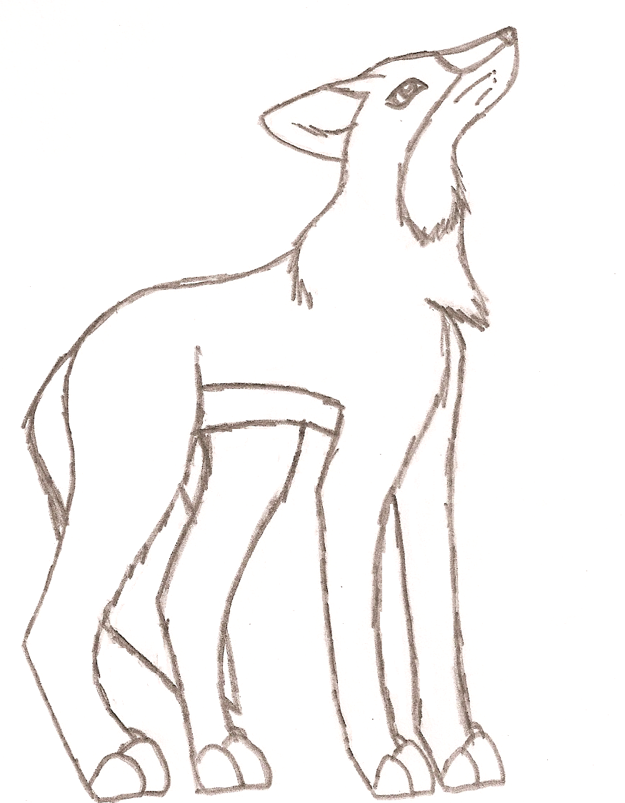 A Maned Wolf by hao_girl